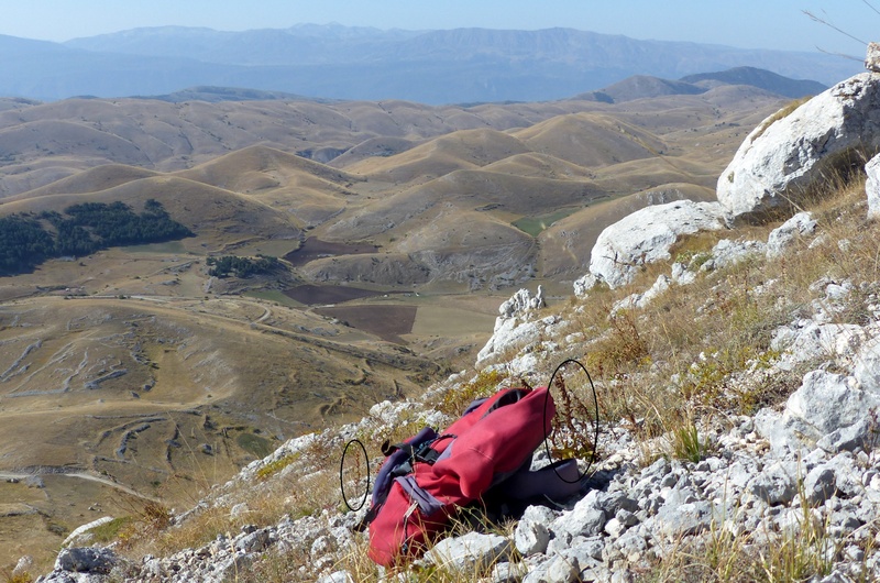 Epipactis da classificare: Campo Imperatore (AQ) luglio 2023.